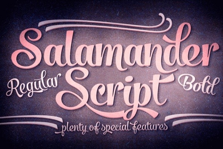 Salamander Font Font Download