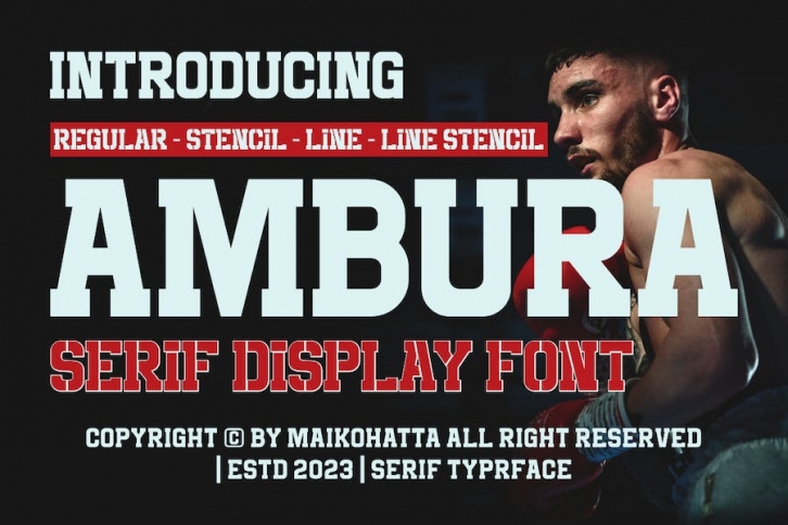 Ambura - Serif Display Font Font Download