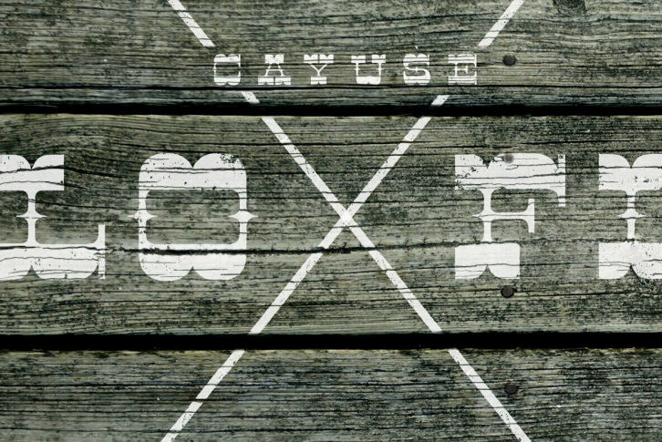 Cayuse Lo-Fi Font Font Download