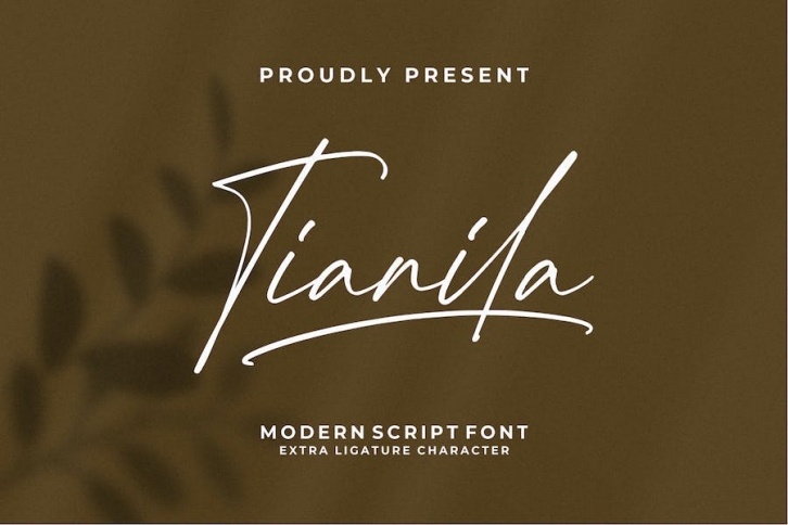 Tianila Font Download