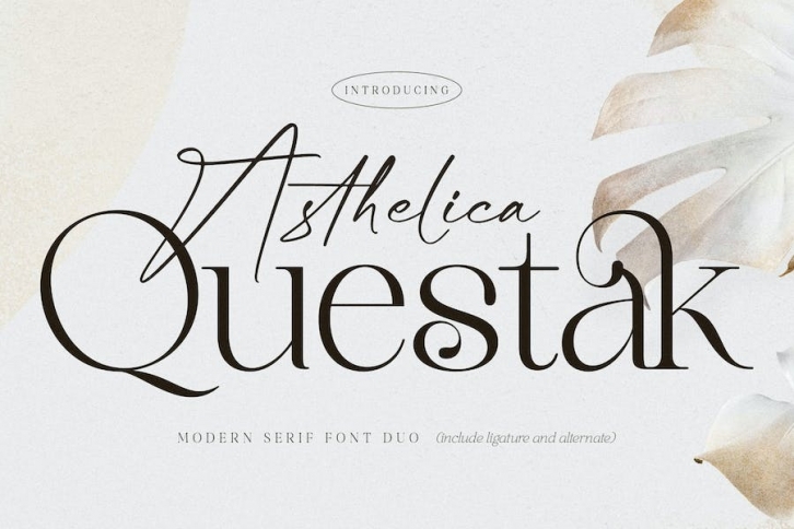 Asthelica Questak Font Duo Font Download