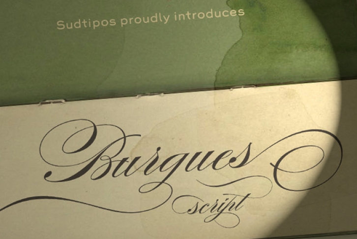 Burgues Script Font Font Download