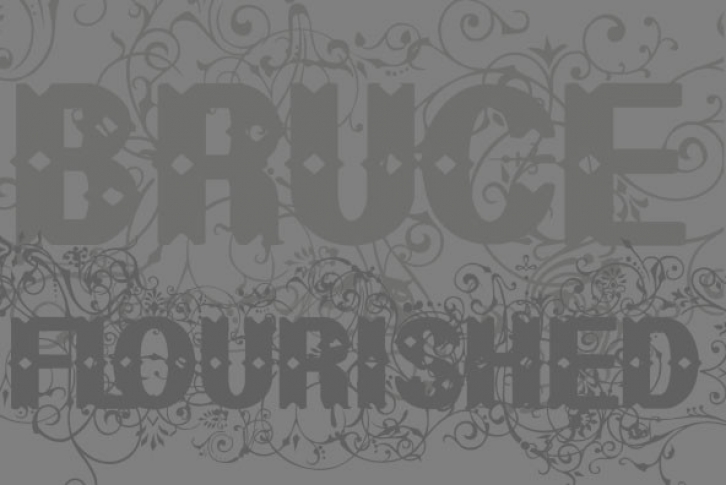 Bruce Flourished Font Font Download