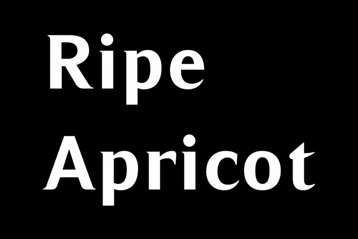 Ripe Apricot Font Font Download