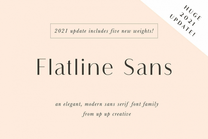 Flatline Sans Font Font Download