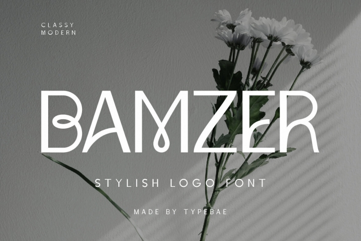 Bamzer Font Font Download