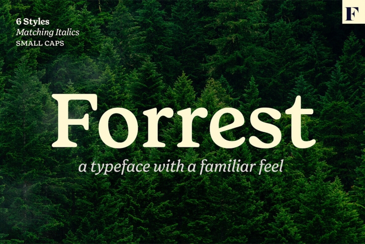 Forrest Font Font Download