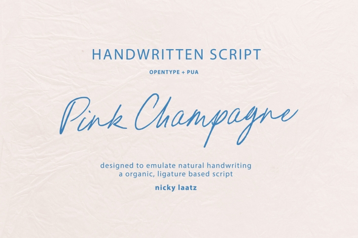 Pink Champagne Font Font Download