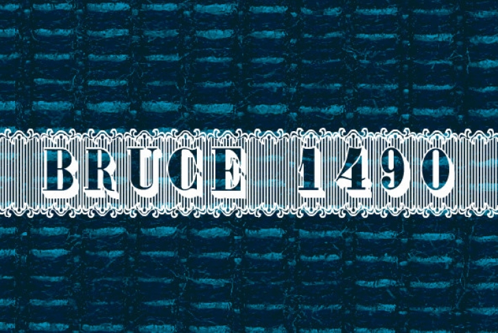 Bruce 1490 Font Font Download