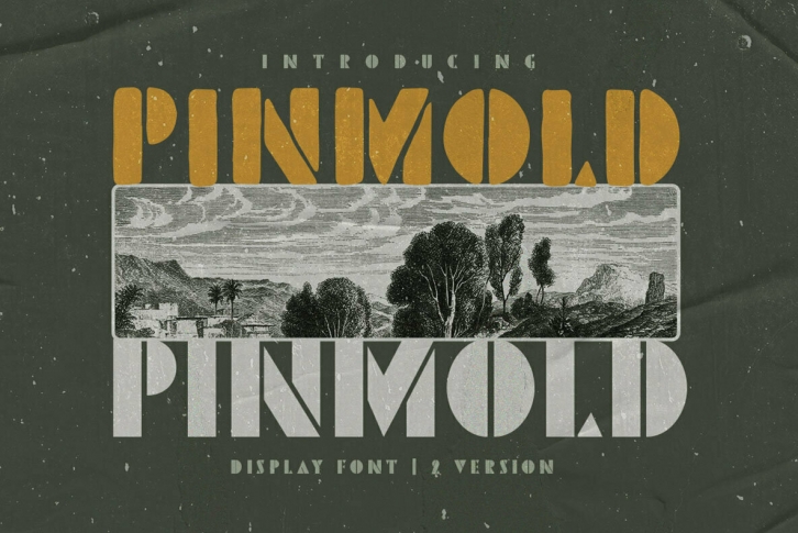 Pinmold Font Font Download