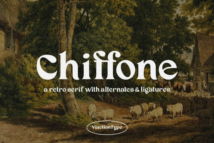 VT Chiffone Font Font Download