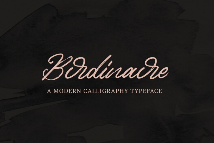 Birdinaire Font Font Download