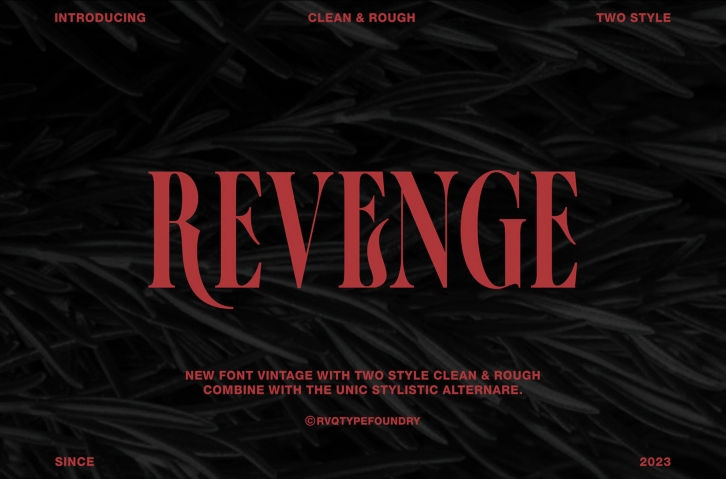 Revenge Font Font Download