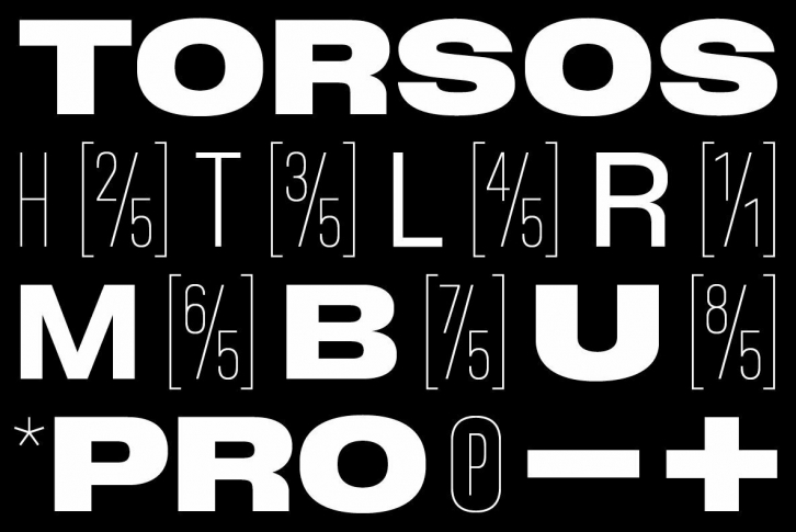 BB Torsos Pro Font Font Download