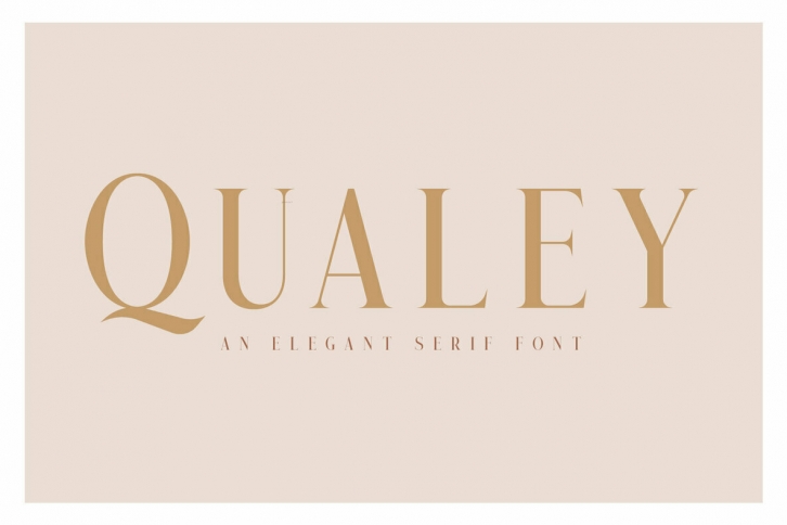 Qualey Font Font Download