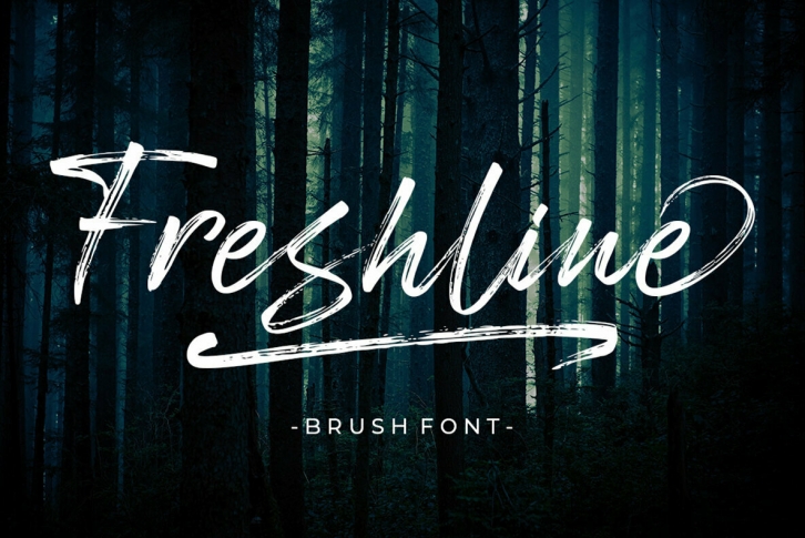 Freshline Font Font Download