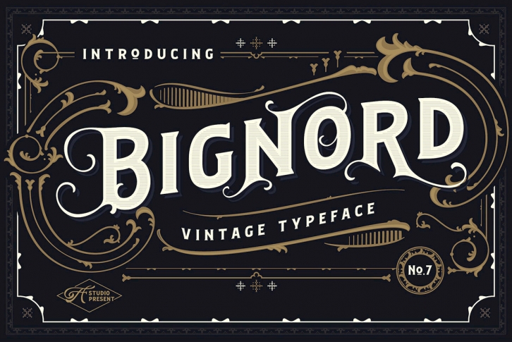 Bignord - Vintage Typeface Font Font Download