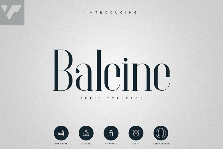 Baleine Font Font Download