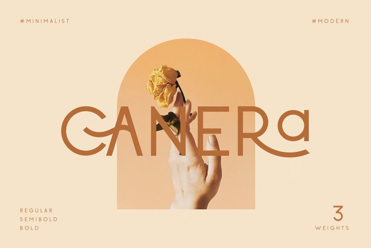 Canera Font Font Download