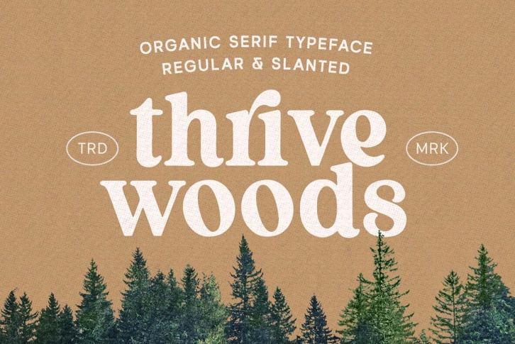 Thrive Woods Font Font Download