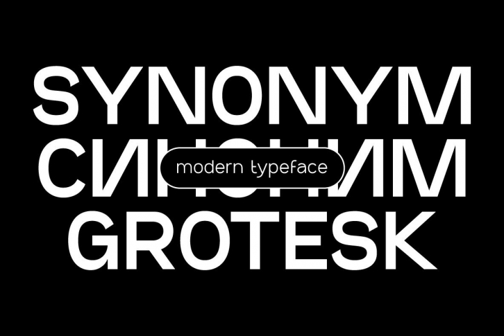 SK Synonym Grotesk Font Font Download