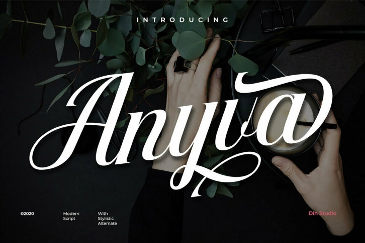 Anyva Font Font Download