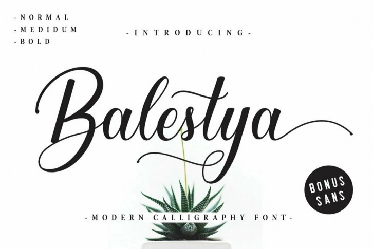 Balestya Script Font Font Download