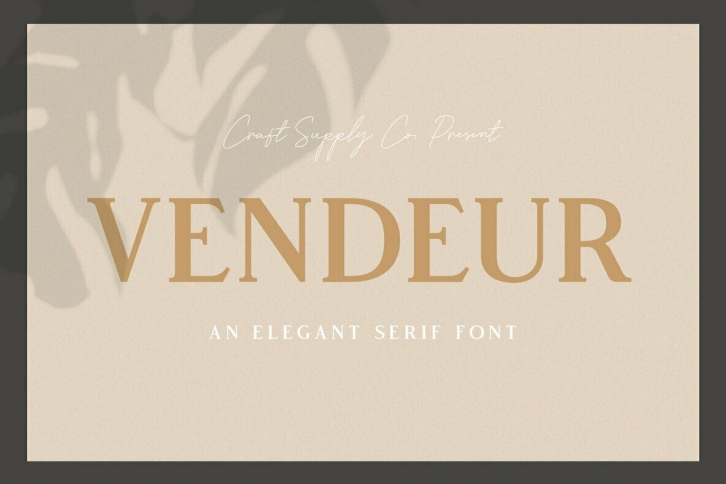 Vendeur Font Font Download