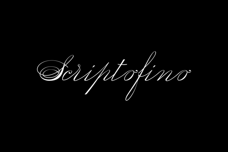 Scriptofino Font Font Download