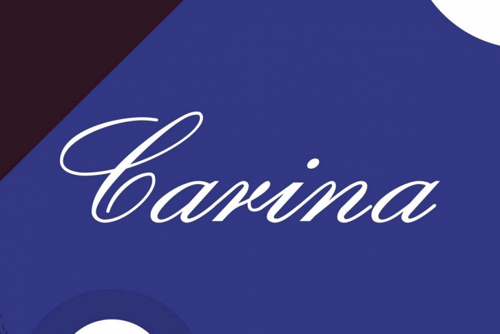 Carina Pro Font Font Download