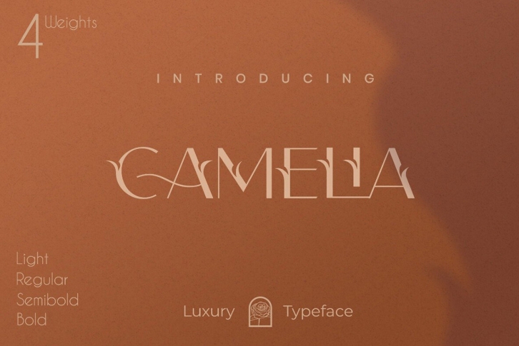 Camelia Sans Font Font Download