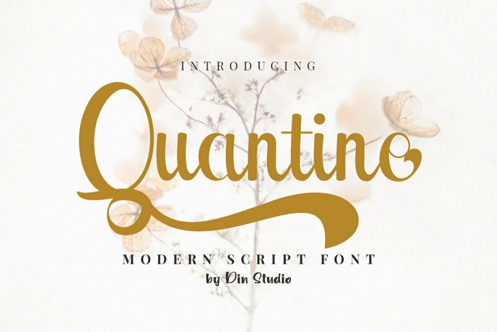 Quantine Font Font Download