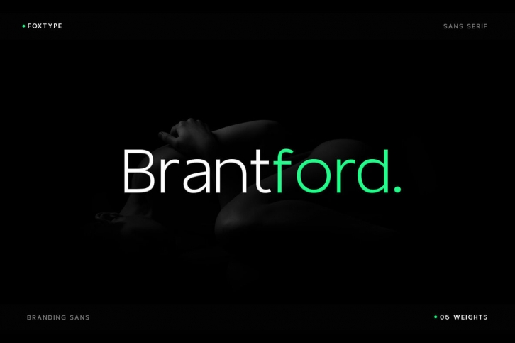 Brantford Typeface Font Font Download