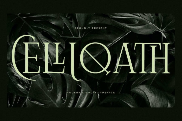 Celliqath Modern Serif Display Font Font Download