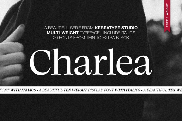 Charlea Font Font Download