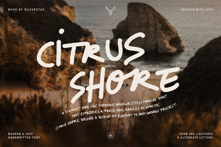 Citrus Shore Font Font Download