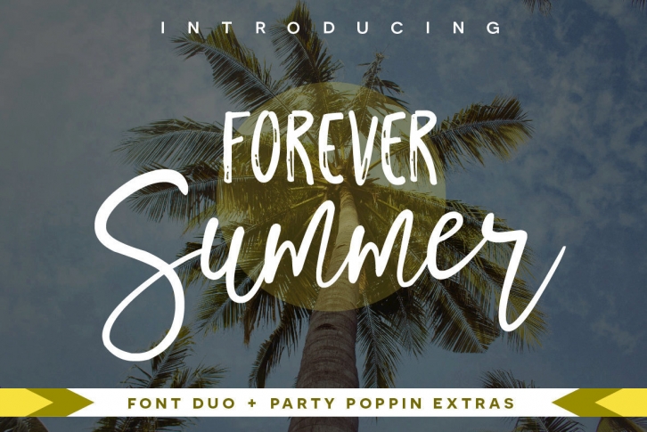 Forever Summer Font Font Download