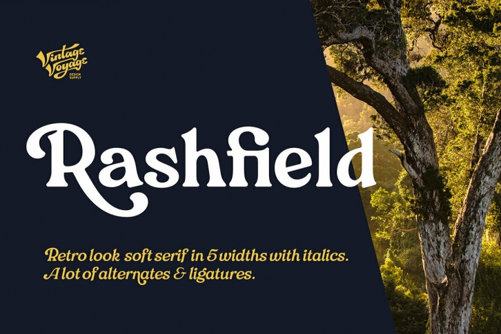 Rashfield Font Font Download