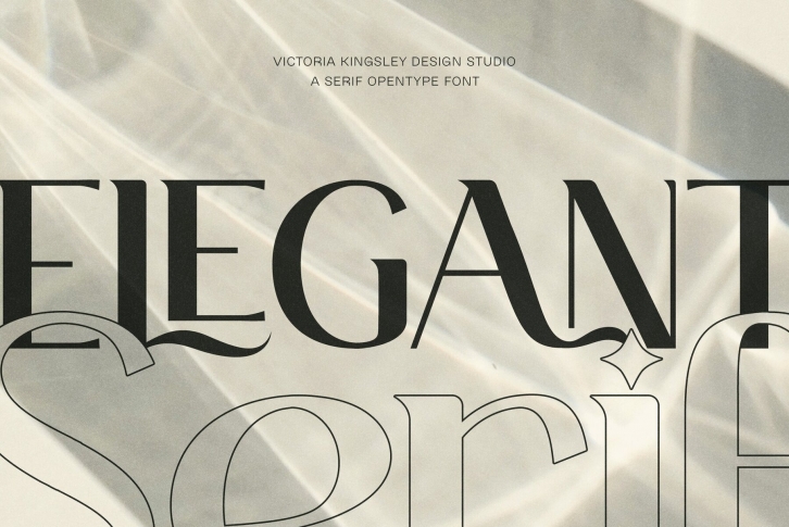 Elegant Serif Font Font Download