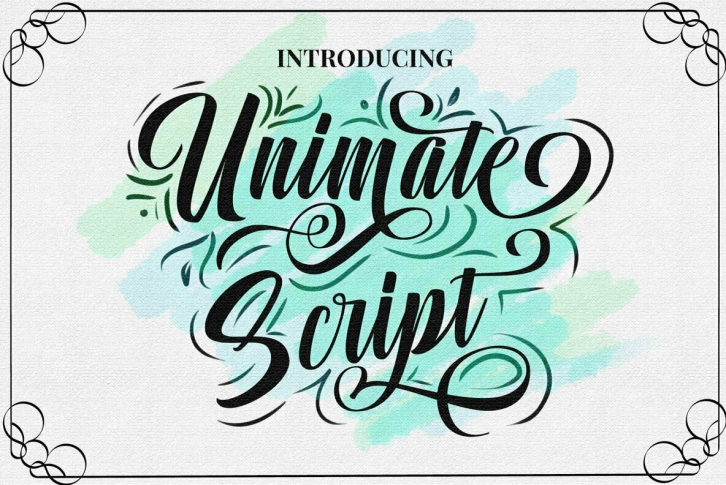 Unimate Script Font Font Download