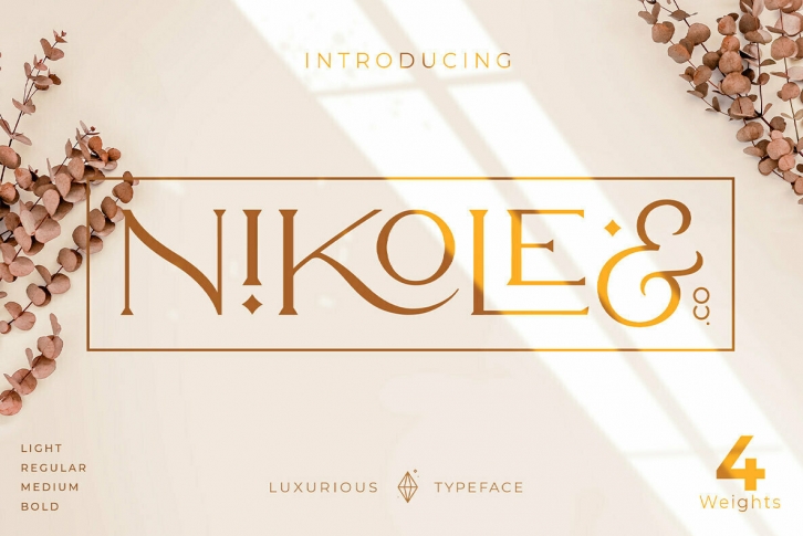 Nikole Font Font Download