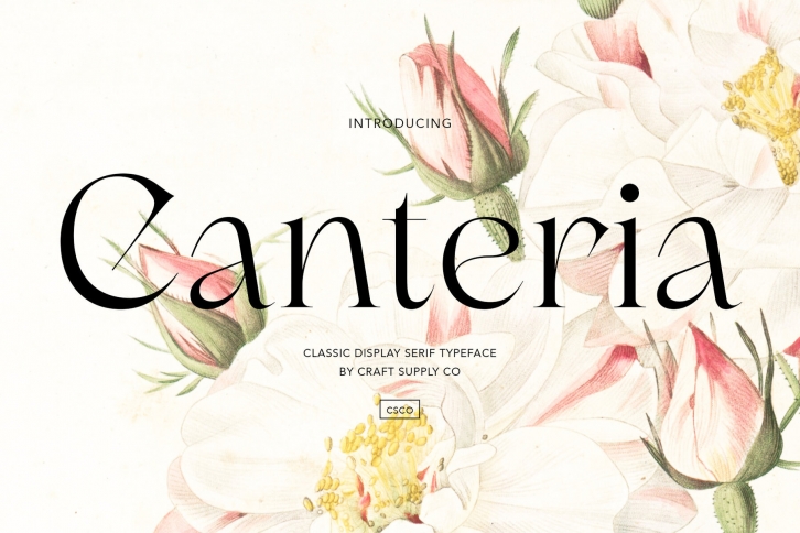 Canteria Font Font Download