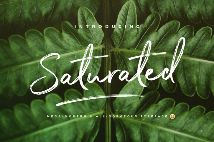 Saturated Font Font Download