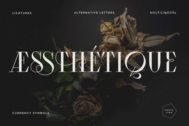 FT Aessthetique Font Font Download