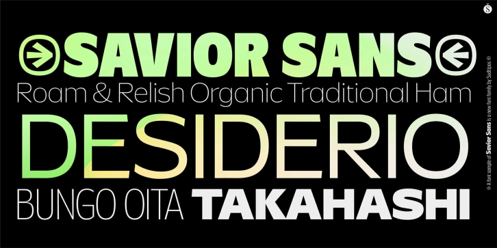 Savior Sans Font Font Download