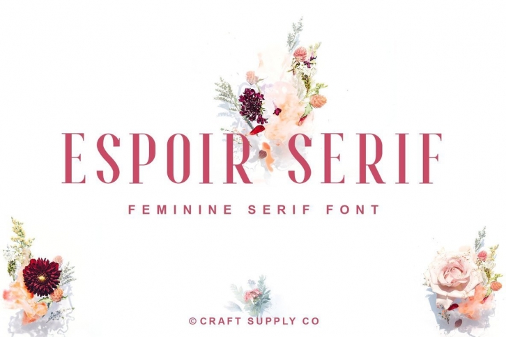 Espoir Serif Font Font Download