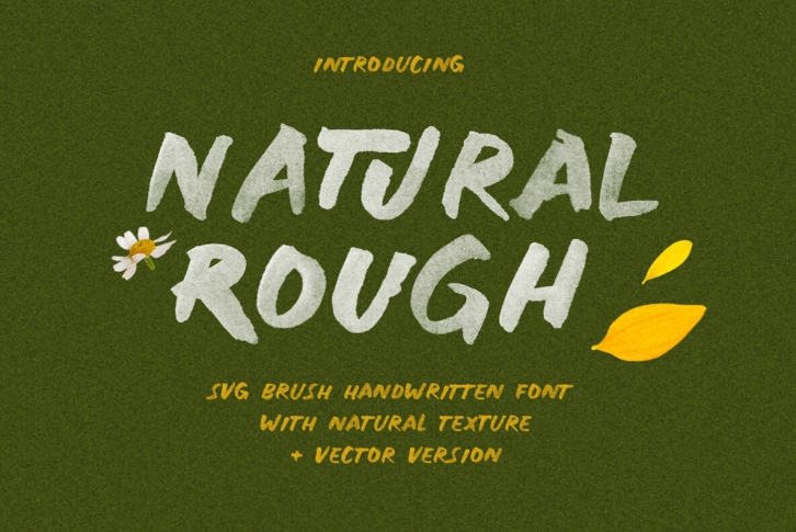 Natural Rough Font Font Download