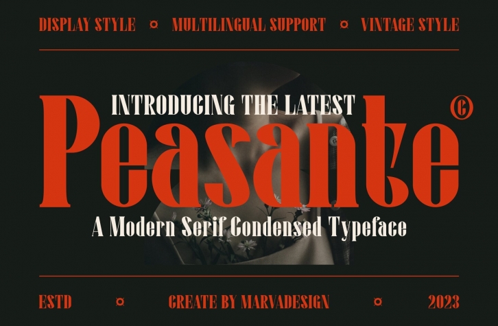 Peasante Font Font Download