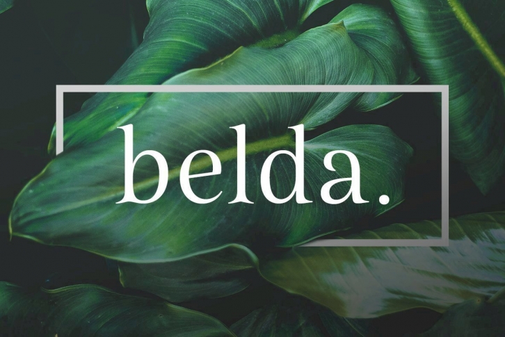 Belda Font Font Download