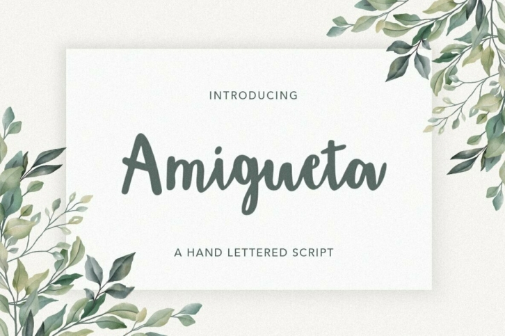 Amigueta Script Font Font Download